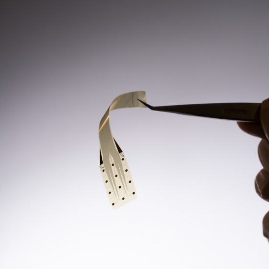 Pioneering Real-Time Precision Neurology