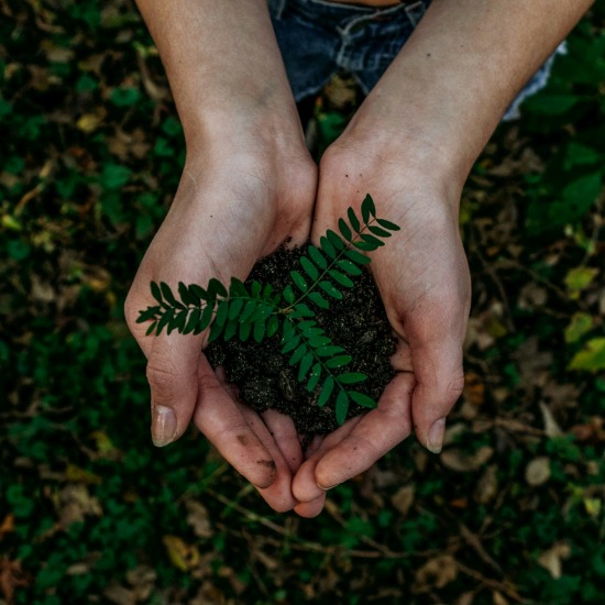 Gerresheimer earns CDP leadership rating for climate transparency