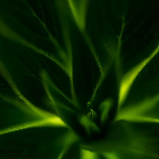 Palau and Sustainserv Join Forces to Reshape ESG Reporting with AI
