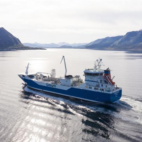 A Nordic pioneer turns regulation into opportunity