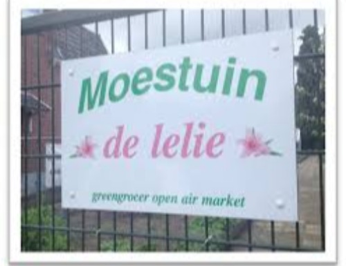 Moestuin