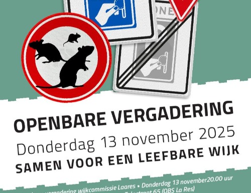 Openbare vergadering