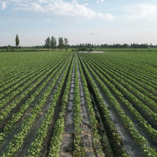 AFYREN’s €23 Million Boost: How a Circular Biorefinery Could Reshape Europe’s Sustainable Chemical Industry