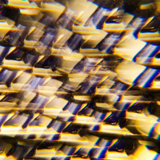 Quantum Computing Inc. Acquires Luminar Semiconductor — Why Control of Photonic Chips Matters