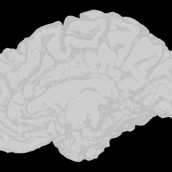 Why OpenAI’s $252M bet on Merge Labs redefines brain–computer interfaces