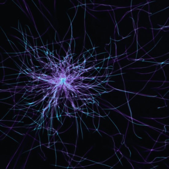 Zander Labs integrates mobile brain–computer interface stack in NAFAS milestone