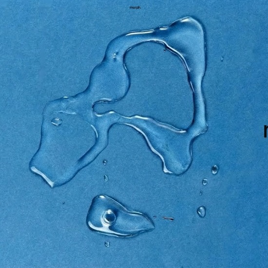 An octopus-inspired vision for physical AI
