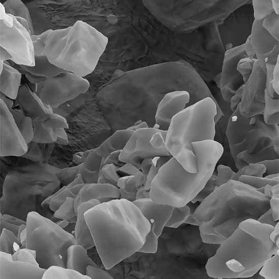 The molecular sponges finally leaving the laboratory