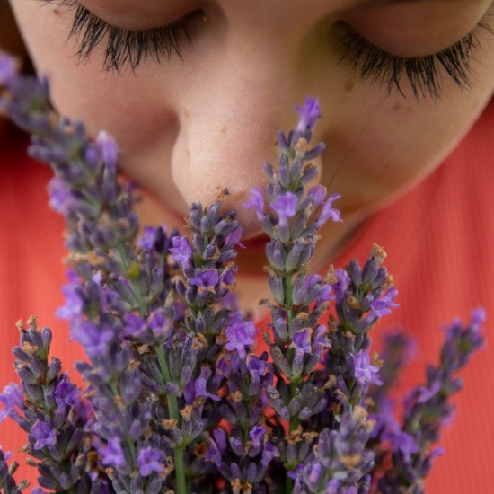 AI is giving computers a sense of smell