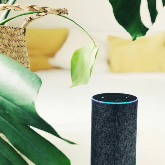MTN Weekend: How to find out what your smart devices know about you