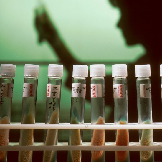 Boehringer Ingelheim and Microsoft explore digital patient twins for drug trials